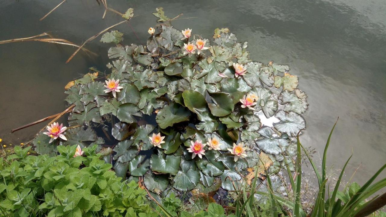 Chambre Coin Nature Fromelles Экстерьер фото